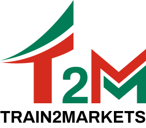 Train2Markets - Agenzia ICE.  Formazione gratuita sull'internazionalizzazione dedicata alle aziende.