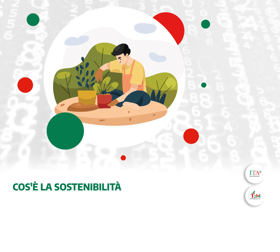 Cos’è la sostenibilità