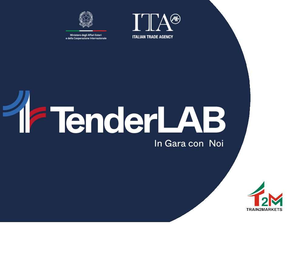 Navigare le fonti dei tender internazionali