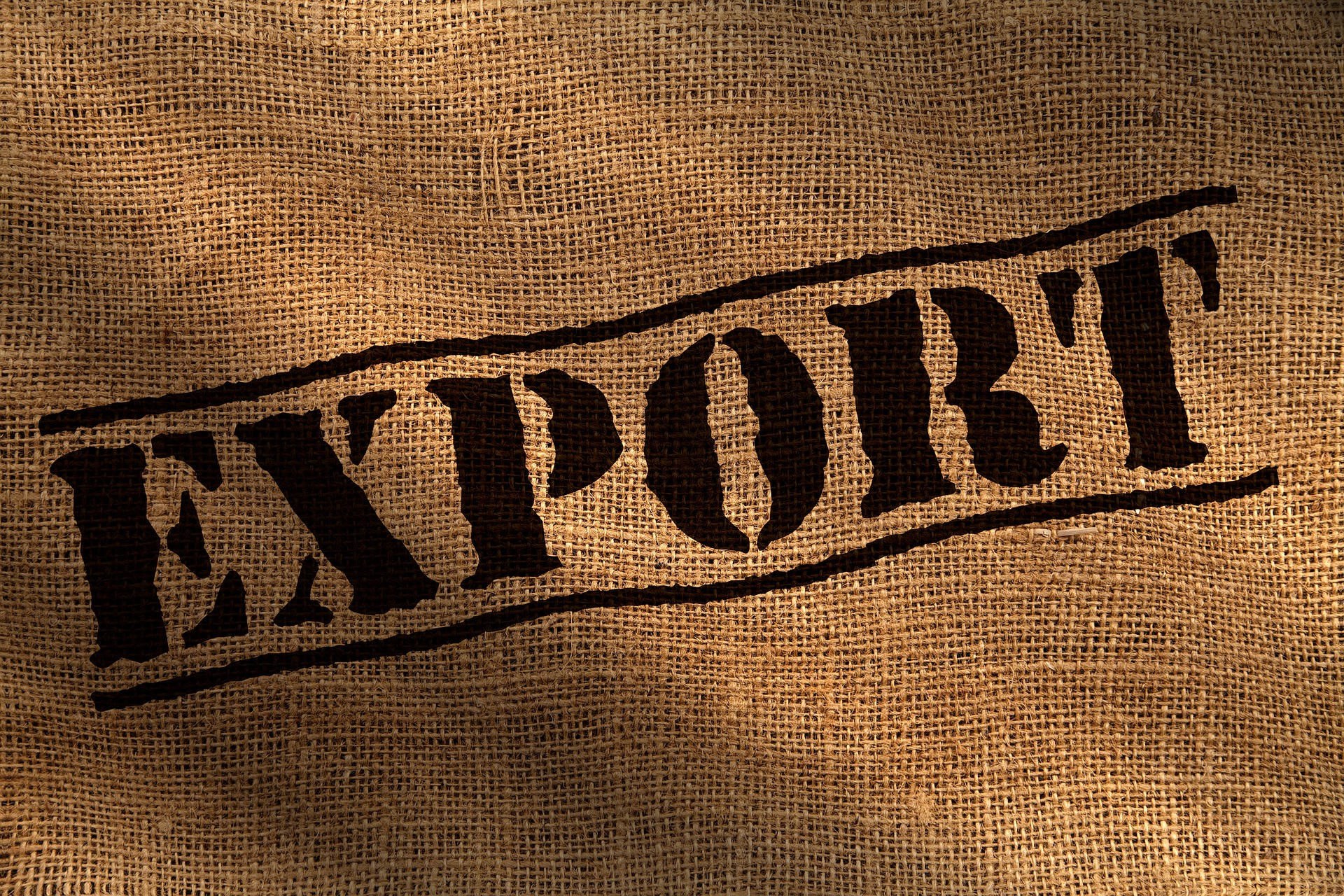 EXPORT: inquadrare il problema
