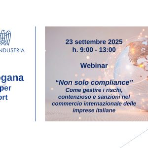 Banner Export kit dogana